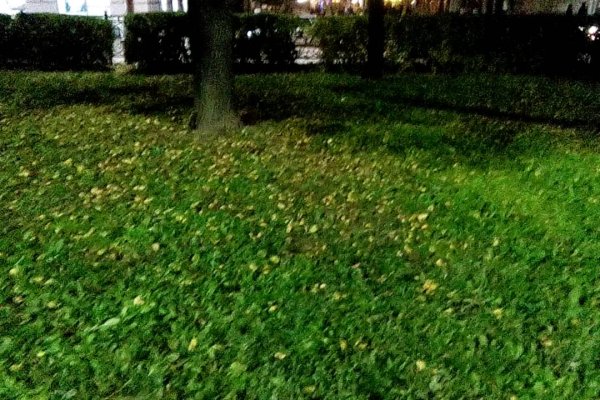 Что с кракеном сайт